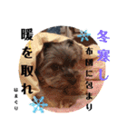 プリンスはまスタンプ Ver.1（個別スタンプ：10）