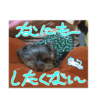 プリンスはまスタンプ Ver.1（個別スタンプ：26）