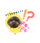 プリンスはまスタンプ Ver.1（個別スタンプ：27）