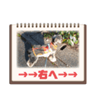 プリンスはまスタンプ Ver.1（個別スタンプ：33）
