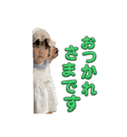 せいなちゃんのラインスタンプ（個別スタンプ：5）