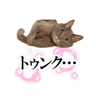 せいなちゃんのラインスタンプ（個別スタンプ：10）