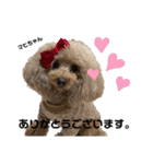 ハッピー・わん（個別スタンプ：3）