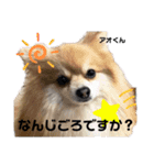 ハッピー・わん（個別スタンプ：8）
