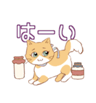 あいさつ長毛猫（個別スタンプ：11）