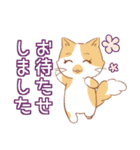 あいさつ長毛猫（個別スタンプ：13）