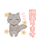 あいさつ長毛猫（個別スタンプ：23）