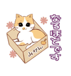 あいさつ長毛猫（個別スタンプ：24）