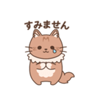 短足猫のテオ【敬語】（個別スタンプ：11）