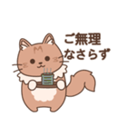 短足猫のテオ【敬語】（個別スタンプ：27）