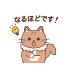 短足猫のテオ【敬語】（個別スタンプ：34）