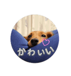 もみこ♥️（個別スタンプ：6）