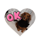 もみこ♥️（個別スタンプ：8）