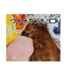 もみこ♥️（個別スタンプ：12）