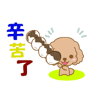 わんこ日和(茶プードル)-toYvu-（個別スタンプ：23）