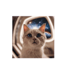 動く宇宙猫 space cat（個別スタンプ：1）