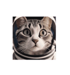 動く宇宙猫 space cat（個別スタンプ：13）