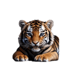 とら2 tiger（個別スタンプ：8）