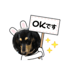Ⓜ️ダックス（個別スタンプ：8）
