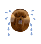 ルナルー（個別スタンプ：6）