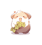 [かわいい]モルモットちゃん（個別スタンプ：3）