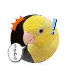 マメルリハ達15（個別スタンプ：2）
