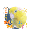 マメルリハ達15（個別スタンプ：18）