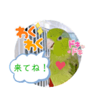 マメルリハ達15（個別スタンプ：21）