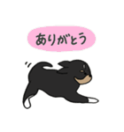 犬とうさぎの日常スタンプ（個別スタンプ：1）