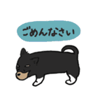 犬とうさぎの日常スタンプ（個別スタンプ：24）