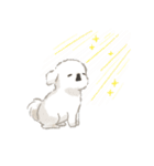 犬っ子ペロ〈愛がいっぱい:白〉（個別スタンプ：16）