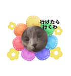 猫たち(なかまたち)（個別スタンプ：4）
