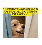 ≪長文≫カワイイわんこの日常1（個別スタンプ：11）