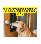 ≪長文≫カワイイわんこの日常1（個別スタンプ：33）