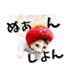 ばーん家のにゃんこ達（個別スタンプ：8）