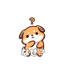 犬のスタンプ（豆柴）（個別スタンプ：24）