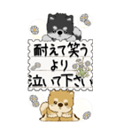 【Big】柴犬・茶色い犬さん『大切な人へ』（個別スタンプ：5）
