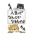 【Big】柴犬・茶色い犬さん『大切な人へ』（個別スタンプ：16）