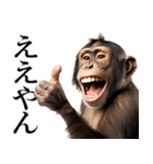 リアル猿★関西弁（個別スタンプ：5）