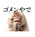 リアル猿★関西弁（個別スタンプ：24）