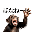 リアル猿★関西弁（個別スタンプ：40）