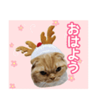 きなことあんこ10（個別スタンプ：4）