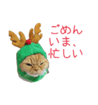 きなことあんこ10（個別スタンプ：8）
