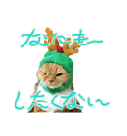 きなことあんこ10（個別スタンプ：13）