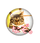 きなことあんこ10（個別スタンプ：18）