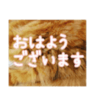 きなことあんこ10（個別スタンプ：24）