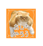 きなことあんこ10（個別スタンプ：26）