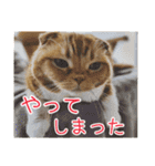 きなことあんこ10（個別スタンプ：30）
