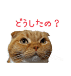 きなことあんこ10（個別スタンプ：38）