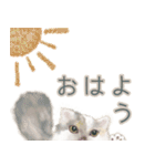 ねこが思うことあれこれ（個別スタンプ：1）